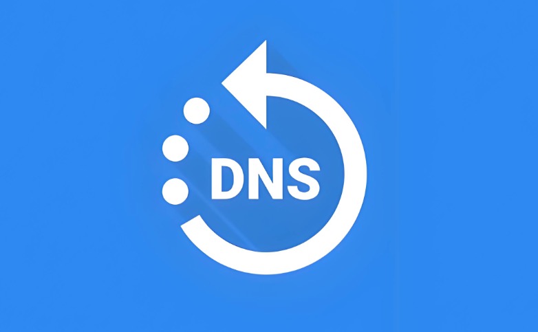 DNS缓存
