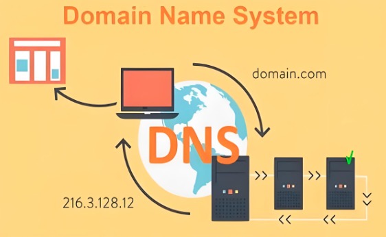 DNS转发器